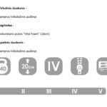 Skilimo schema EDEN Čiužinys