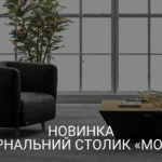 NAUJIENA TARP KAVOS STALIUKŲ